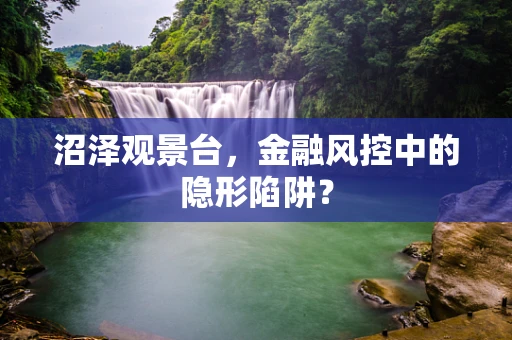 沼泽观景台，金融风控中的隐形陷阱？