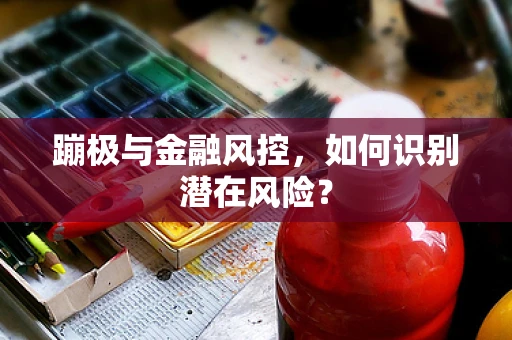 蹦极与金融风控，如何识别潜在风险？