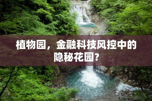 植物园，金融科技风控中的隐秘花园？