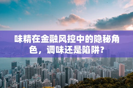 味精在金融风控中的隐秘角色，调味还是陷阱？