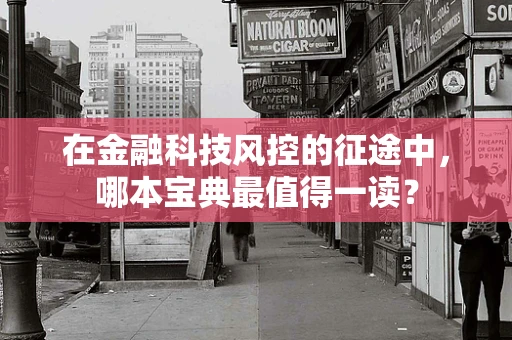在金融科技风控的征途中，哪本宝典最值得一读？