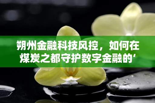 朔州金融科技风控，如何在煤炭之都守护数字金融的‘黄金’？
