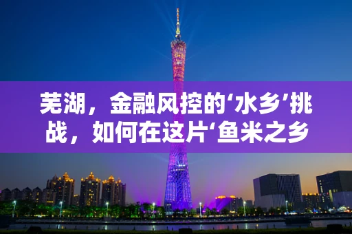 芜湖，金融风控的‘水乡’挑战，如何在这片‘鱼米之乡’中筑起安全防线？