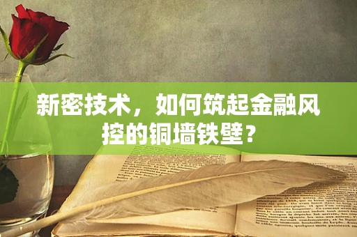 新密技术，如何筑起金融风控的铜墙铁壁？