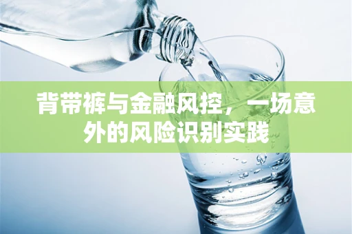 背带裤与金融风控，一场意外的风险识别实践