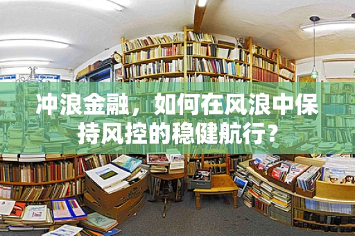 冲浪金融，如何在风浪中保持风控的稳健航行？