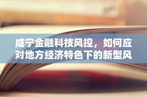 咸宁金融科技风控，如何应对地方经济特色下的新型风险？