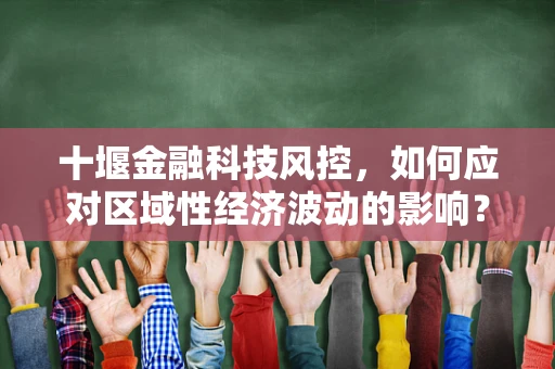 十堰金融科技风控，如何应对区域性经济波动的影响？