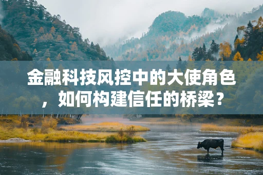 金融科技风控中的大使角色，如何构建信任的桥梁？