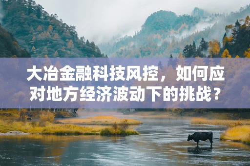 大冶金融科技风控，如何应对地方经济波动下的挑战？