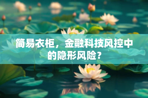 简易衣柜，金融科技风控中的隐形风险？