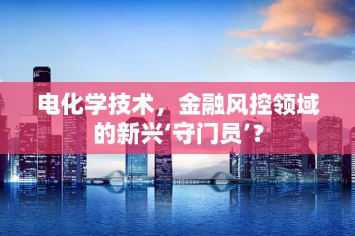 电化学技术，金融风控领域的新兴‘守门员’？