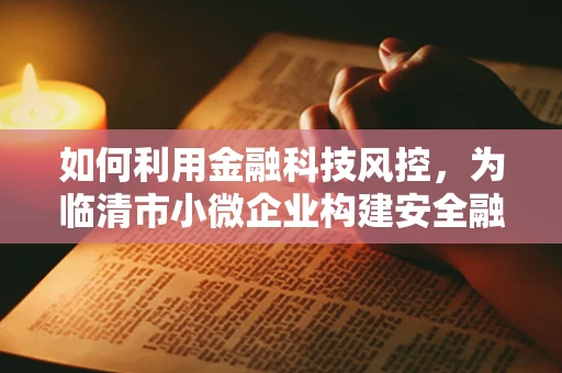 如何利用金融科技风控，为临清市小微企业构建安全融资环境？