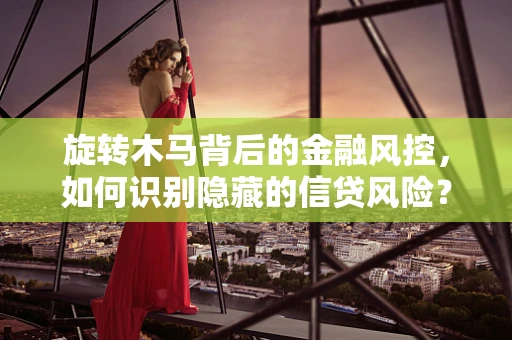 旋转木马背后的金融风控，如何识别隐藏的信贷风险？