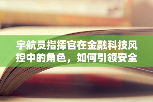 宇航员指挥官在金融科技风控中的角色，如何引领安全航行？