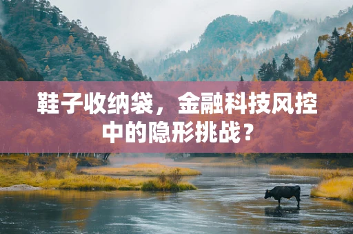 鞋子收纳袋，金融科技风控中的隐形挑战？