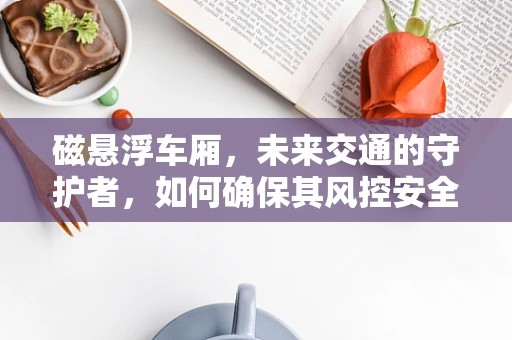 磁悬浮车厢，未来交通的守护者，如何确保其风控安全？
