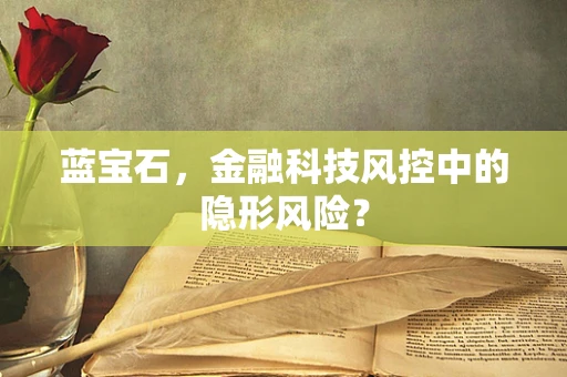 蓝宝石，金融科技风控中的隐形风险？