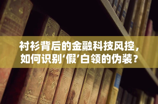 衬衫背后的金融科技风控，如何识别‘假’白领的伪装？