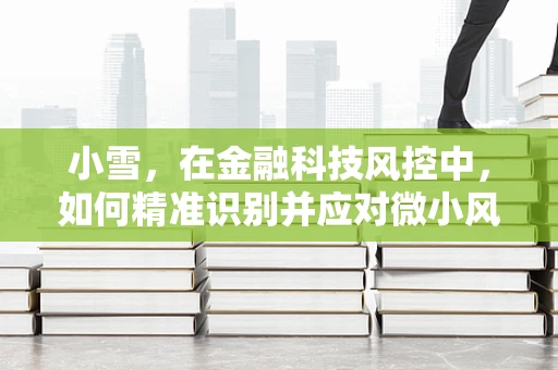 小雪，在金融科技风控中，如何精准识别并应对微小风险？