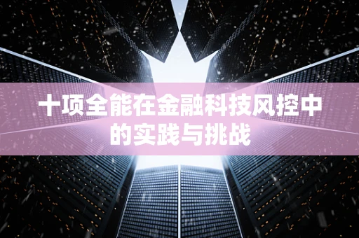 十项全能在金融科技风控中的实践与挑战