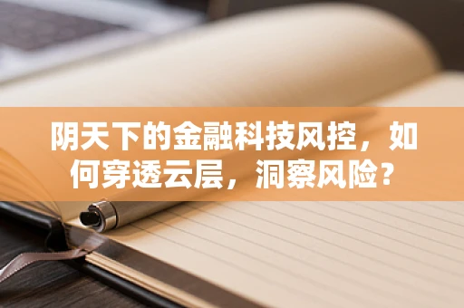 阴天下的金融科技风控，如何穿透云层，洞察风险？