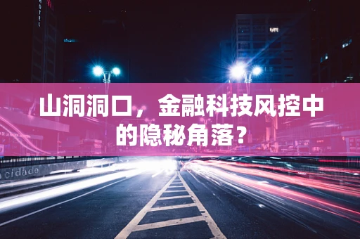 山洞洞口，金融科技风控中的隐秘角落？