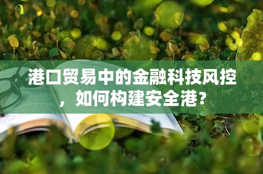 港口贸易中的金融科技风控，如何构建安全港？