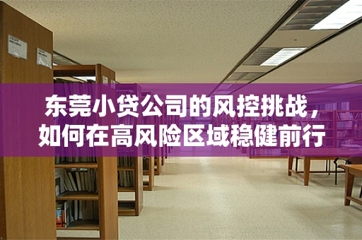 东莞小贷公司的风控挑战，如何在高风险区域稳健前行？