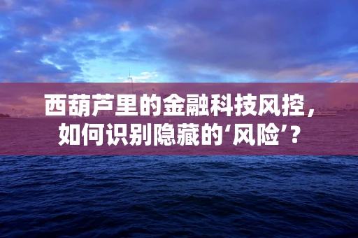 西葫芦里的金融科技风控，如何识别隐藏的‘风险’？