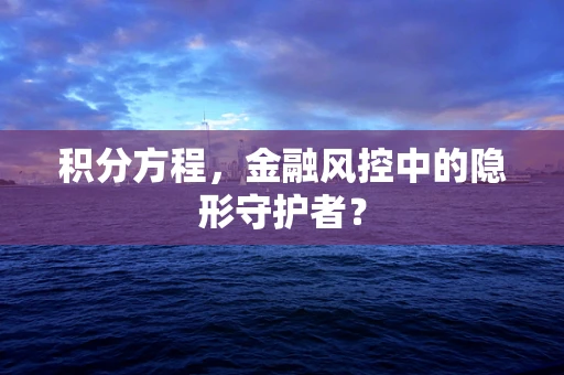 积分方程，金融风控中的隐形守护者？