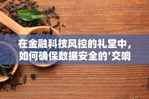 在金融科技风控的礼堂中，如何确保数据安全的‘交响乐’不受干扰？