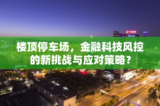 楼顶停车场，金融科技风控的新挑战与应对策略？