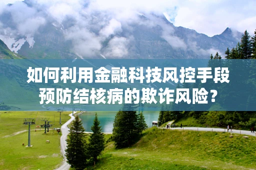 如何利用金融科技风控手段预防结核病的欺诈风险？