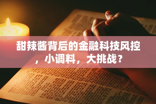 甜辣酱背后的金融科技风控，小调料，大挑战？