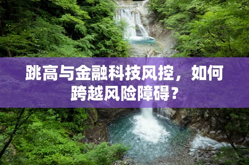 跳高与金融科技风控，如何跨越风险障碍？