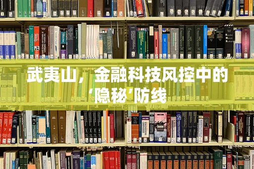 武夷山，金融科技风控中的‘隐秘’防线