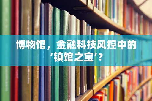 博物馆，金融科技风控中的‘镇馆之宝’？