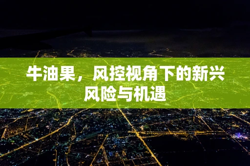牛油果，风控视角下的新兴风险与机遇