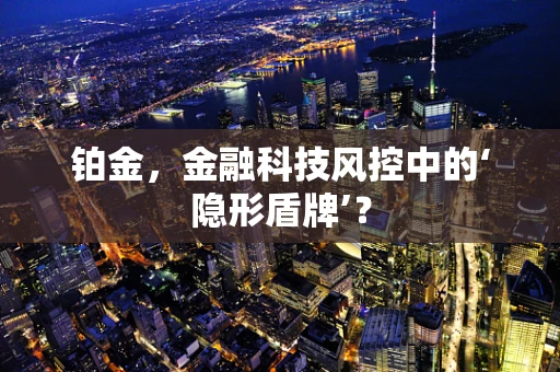 铂金，金融科技风控中的‘隐形盾牌’？
