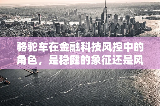 骆驼车在金融科技风控中的角色，是稳健的象征还是风险的警钟？