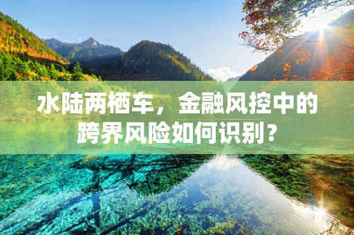 水陆两栖车，金融风控中的跨界风险如何识别？