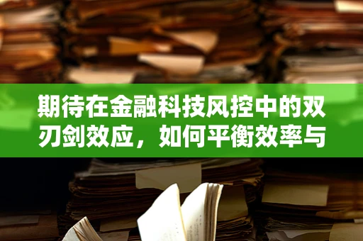 期待在金融科技风控中的双刃剑效应，如何平衡效率与安全？