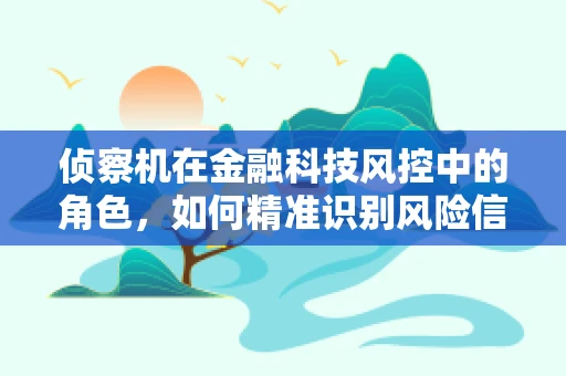 侦察机在金融科技风控中的角色，如何精准识别风险信号？