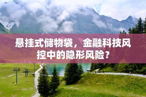 悬挂式储物袋，金融科技风控中的隐形风险？
