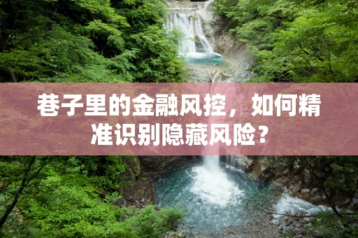 巷子里的金融风控，如何精准识别隐藏风险？