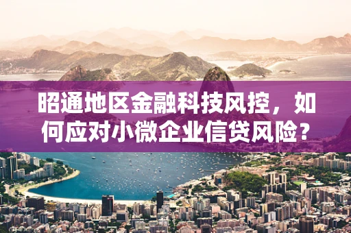 昭通地区金融科技风控，如何应对小微企业信贷风险？