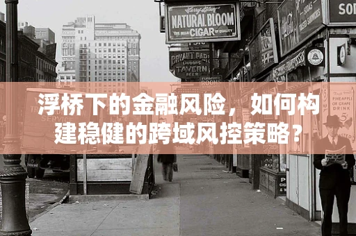 浮桥下的金融风险，如何构建稳健的跨域风控策略？