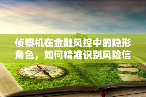 侦察机在金融风控中的隐形角色，如何精准识别风险信号？