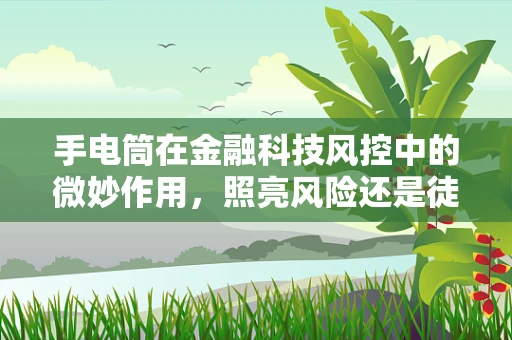 手电筒在金融科技风控中的微妙作用，照亮风险还是徒增困扰？